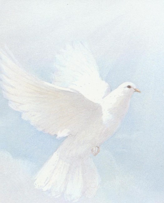 Obituary of Kevin George Fernie