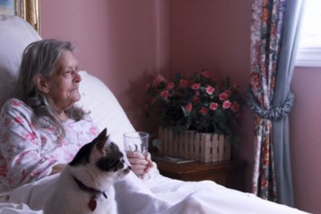 Obituary of Wilma Jean Dropkin