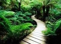 Obituary of Gloria Marie Dolan