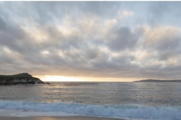 Obituario de Michael Reed