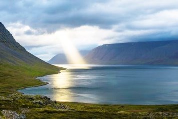 Obituary of Randall "Randy" Dean Reiss