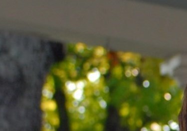 Martha Reeder Obituary - Huntsville, AL