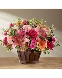 Obituary of Evelyn Louise Lee