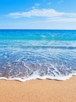 Obituary of Sue Karen Yanitelli