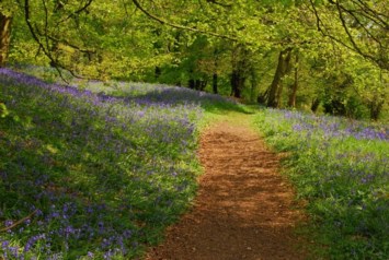 Obituary of John Wesley Hunt Sr.