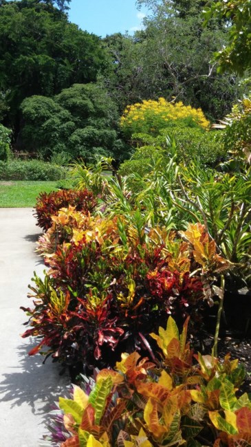 Obituary of Raymond Benner Starbuck