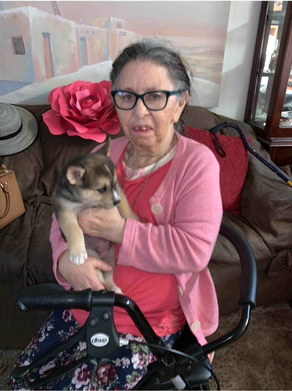 Obituary of Shirline Louise Hernandez