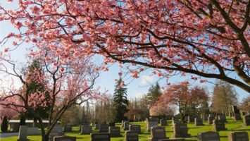 Obituary of Kazuko Kashiwagi Ishii