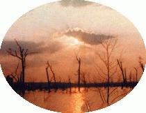 Obituary of Timothy Roy Poole