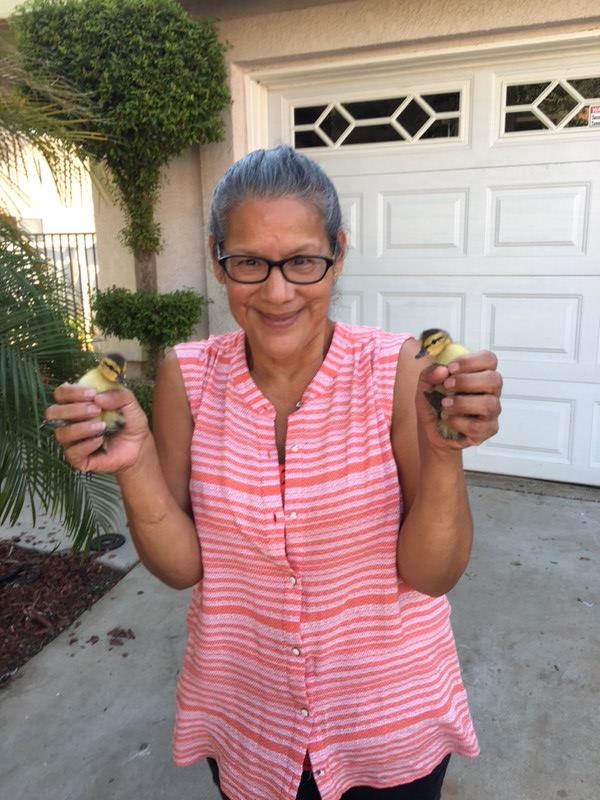 Obituary of Christina Runge