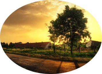 Obituary of Bryan William Gatlin