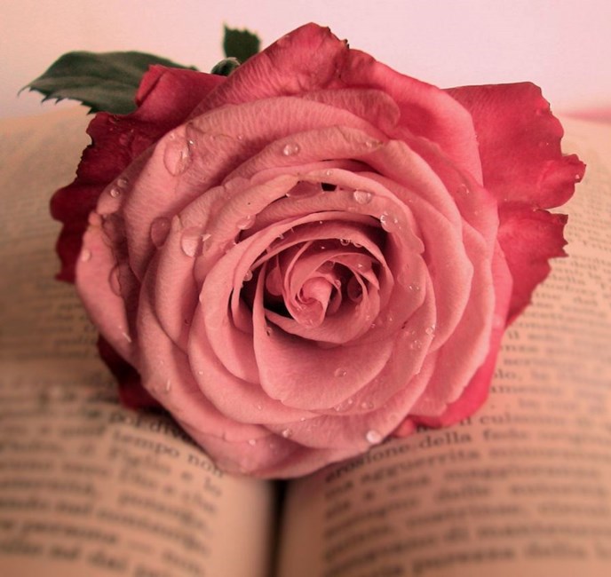 Obituary of Mildred Anne Long