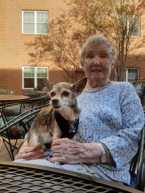Obituary of Patricia M. Wolf