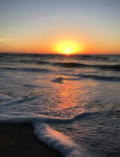 Obituary of Marcus C. Schultz