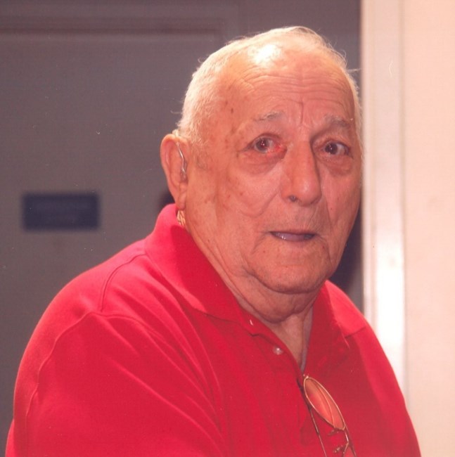 Obituary of Frank Frankie D. Lagudi Sr.