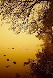 Obituary of Burel Raymond Lamproe