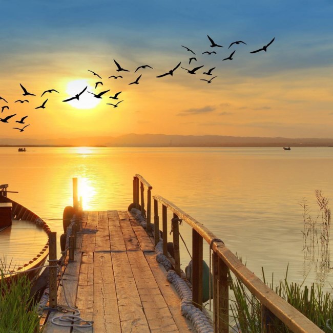 Obituary of Margarita Roque