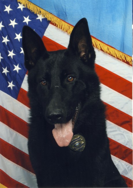 Obituary of K9 Cheko
