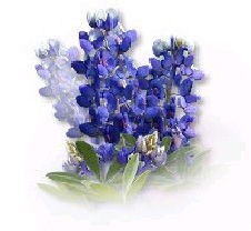 Obituary of Betty Rylander