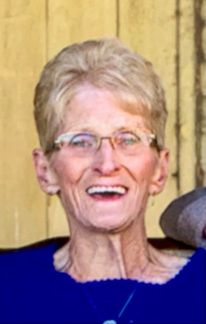 Obituary of Virginia Ann Kraus