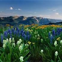 Obituary of LaMoyne Mark Howard