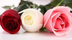 Obituary of Frances Sinatra