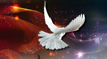 Obituary of Catherine Barr Hollingsworth