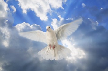 Obituary of Marie Chery