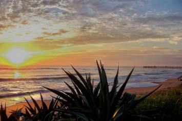 Obituary of Florence P Metz