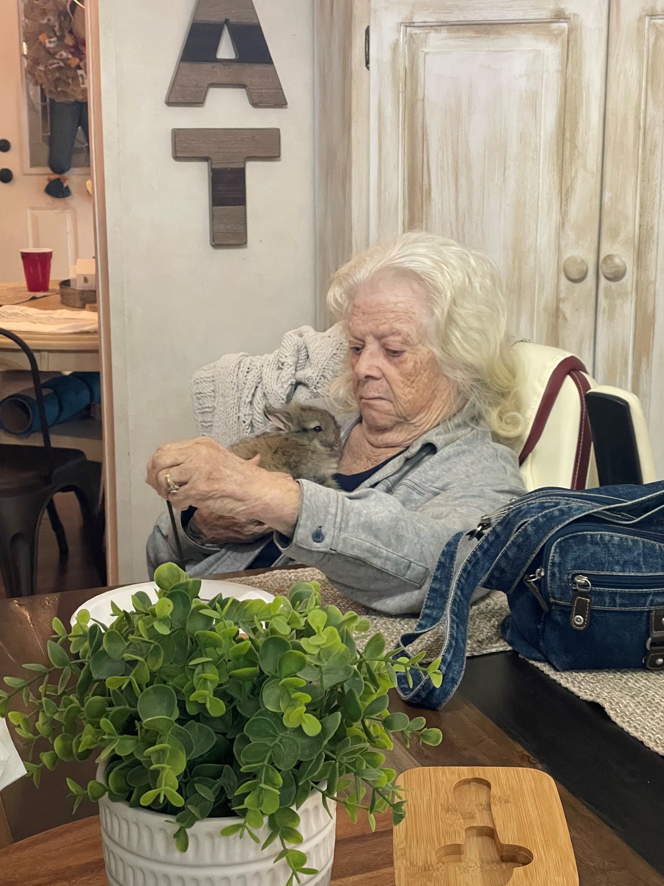 Obituary of Nancy Jean Ploof