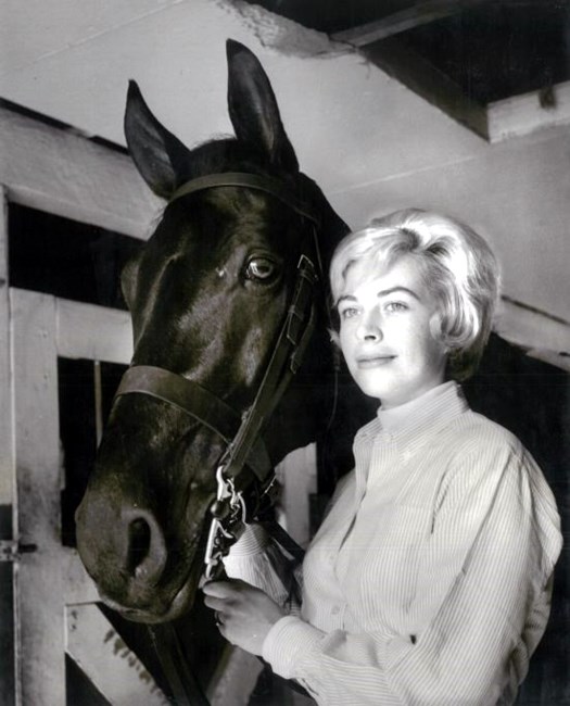 Obituary of Elaine Monroe