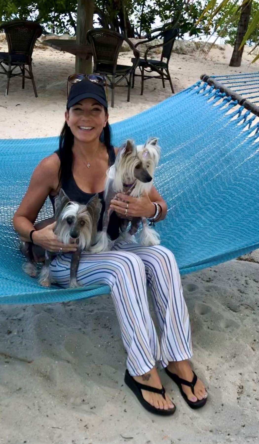 Obituary of Laurel Lynn Mitchell