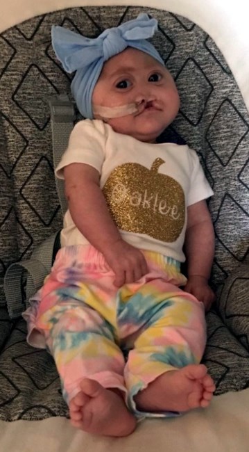 Obituary of Oaklee "Beanie" Rose Cook