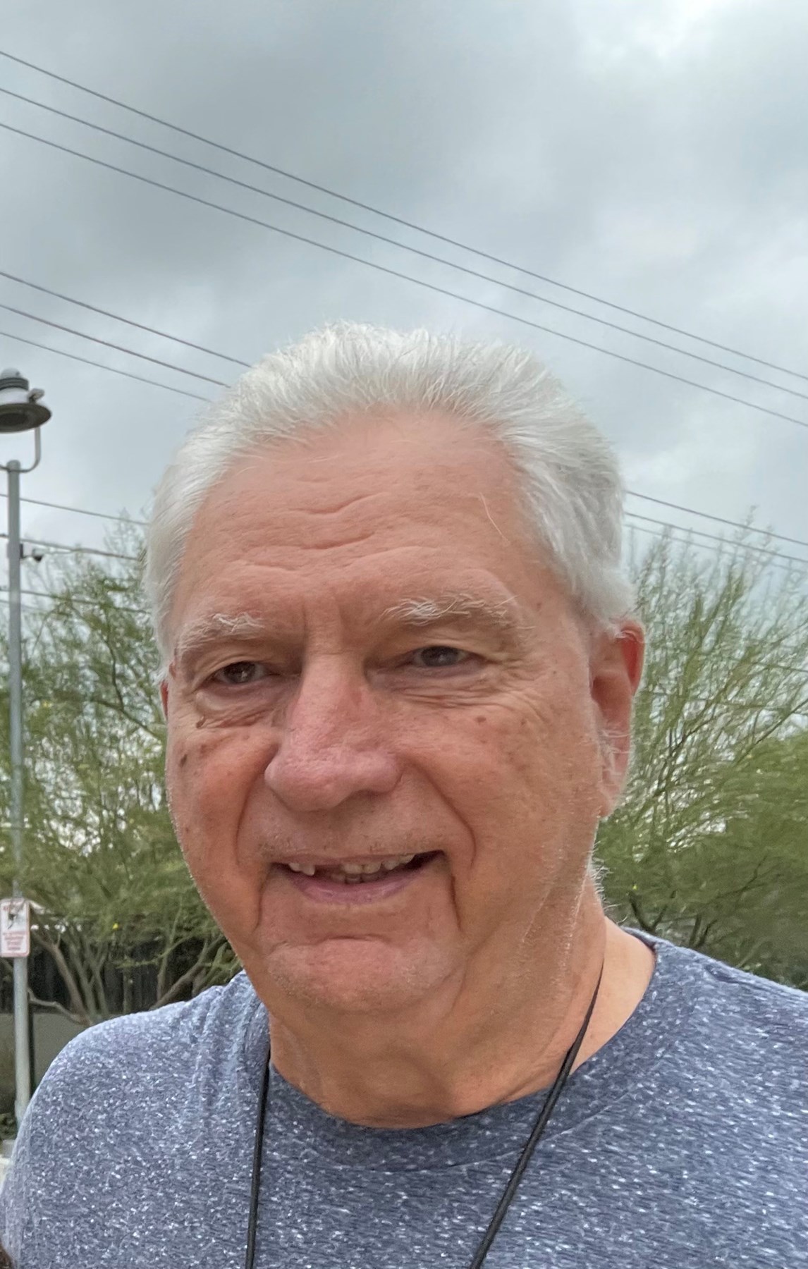 Obituary of Stephen Meszaros