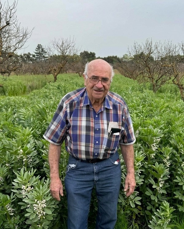 Obituary of Carmen "Babe" Gippetti