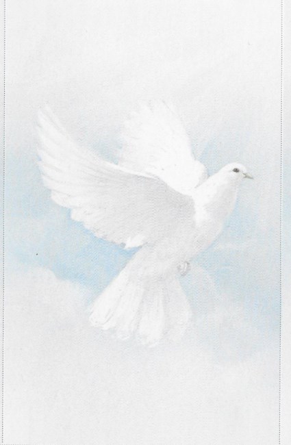 Obituary of Ismael Maspons