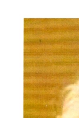 Shirley Needleman Obituary Great Neck NY Shirley Needleman Obituary Great Neck NY