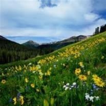 Obituary of Bert Elwood Charlesworth