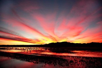 Obituary of Reyes Alexander