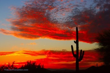 Obituary of Joanne Edna Bryden
