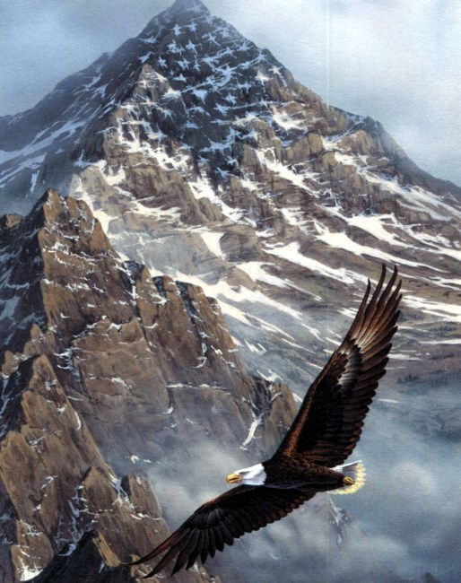 Avis de décès de Daniel L Evans