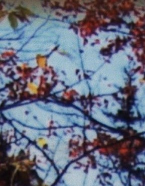 Maurice Dumas Obituary Brossard, QC