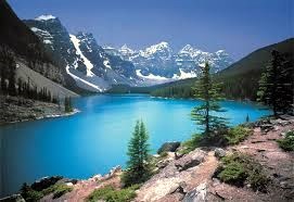 Avis de décès de Mr. Joseph J. Napoli