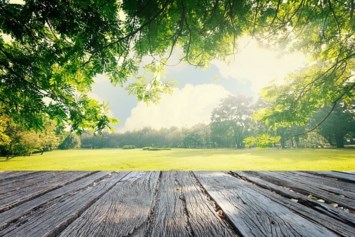 Obituary of Frank Jonathon Paul Cruz Campos