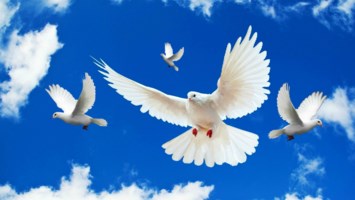 Obituary of Hazel Loretta Buckingham