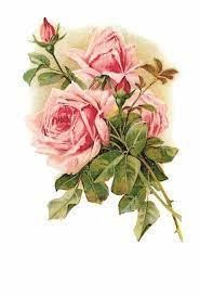 Obituary of Mrs. Margaret D. Chappell