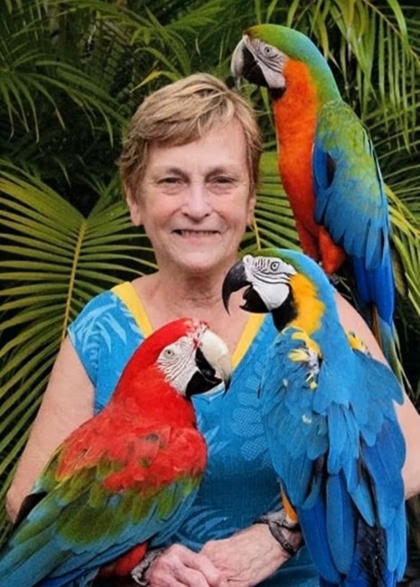 Obituary of Sherry Darline Papa