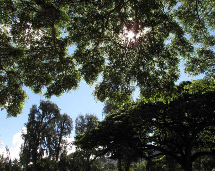 Obituary of Bernard Edward Ostrowski