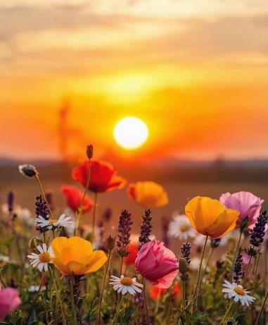 Avis de décès de Adela Cruz Gonzalez