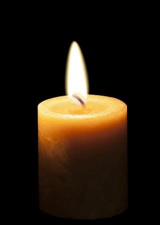 Obituary of Shirley Jean Christie